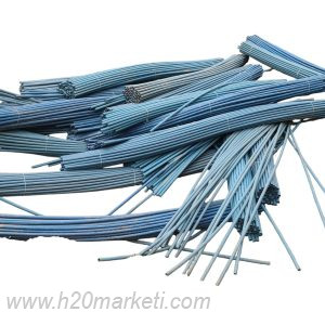 TAYROT BORUSU, TEİROT BORUSU